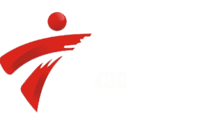 广东体育(排位+正赛)